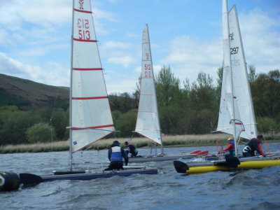 catapult cats at bass